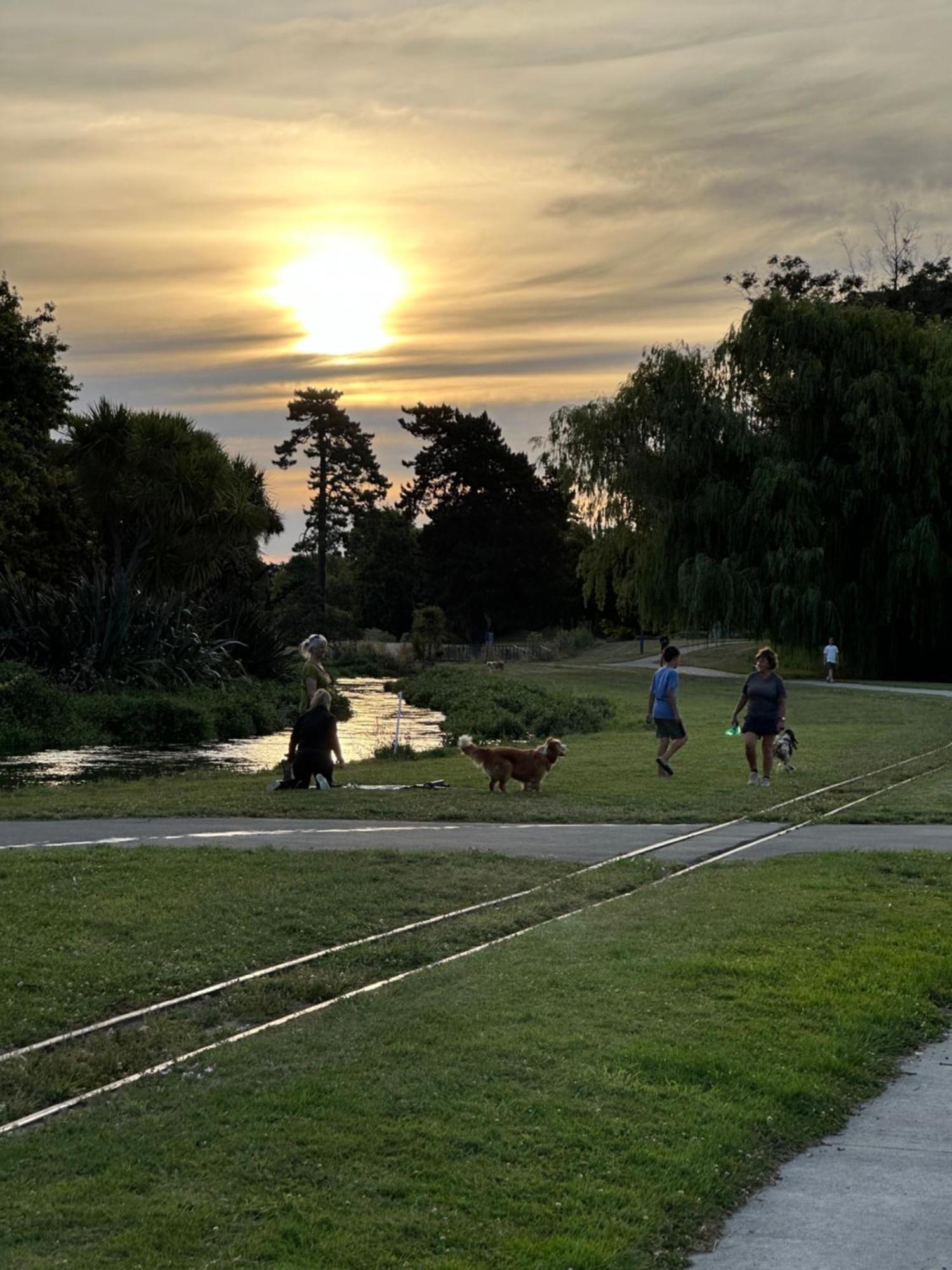 River Cottage Blenheim Dış mekan fotoğraf